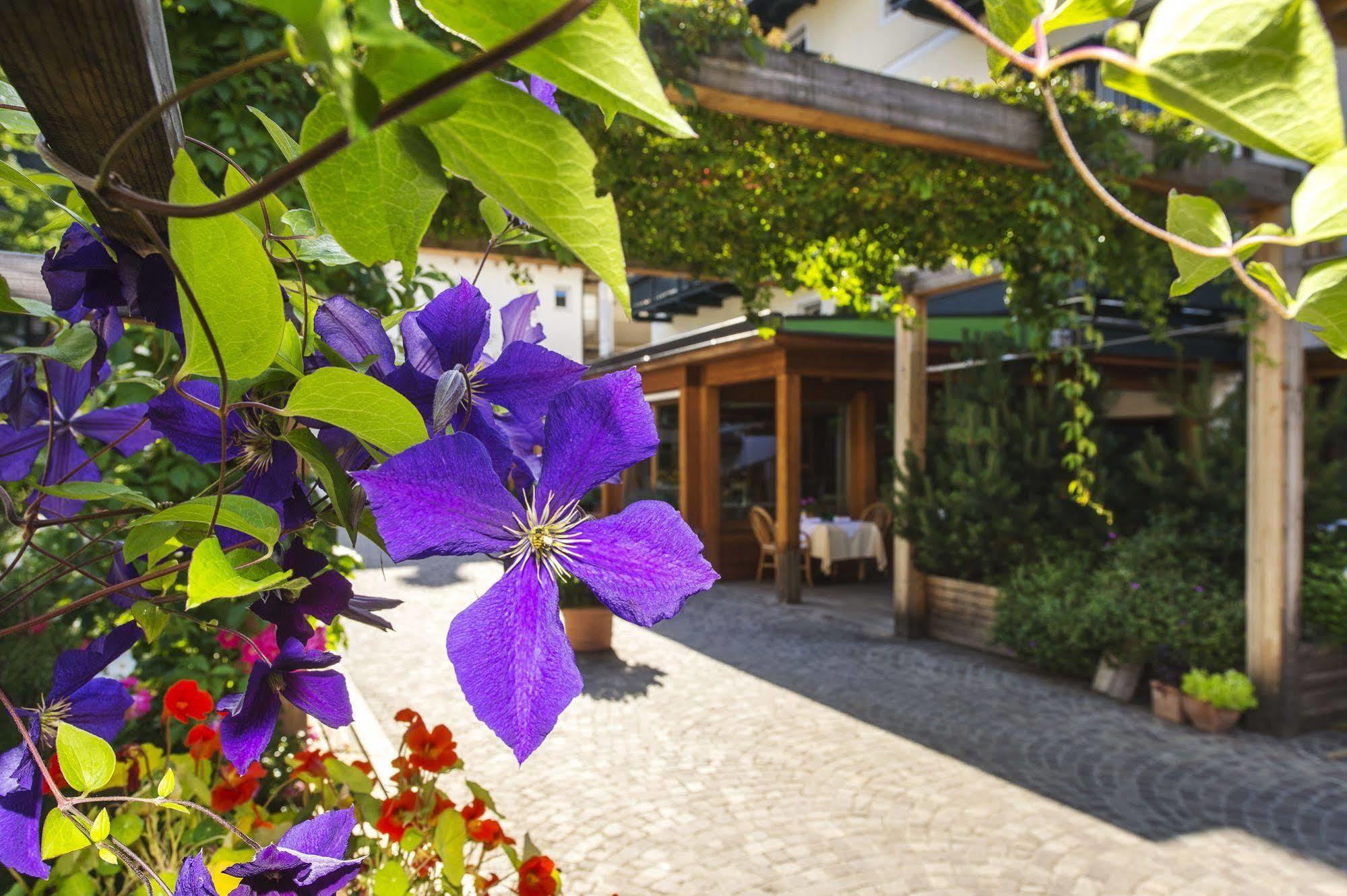 Hotel Drumlerhof Campo Tures Exteriér fotografie